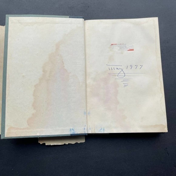 Voices From Other Lives by Thorwald Dethlefsen - Picture 7 of 10